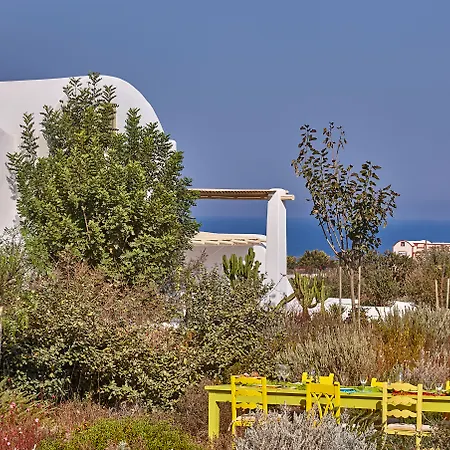 Agrikoia Oia (Santorini)