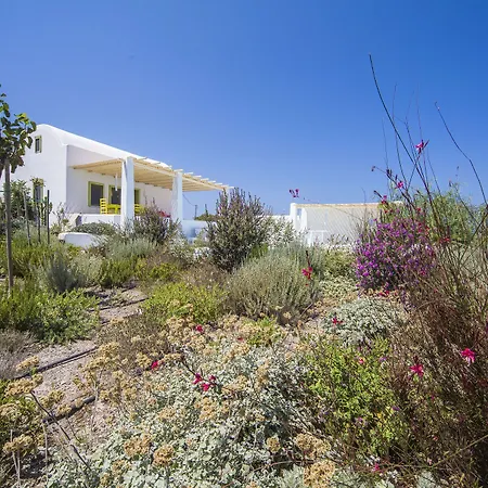 Agrikoia * Oia (Santorini)