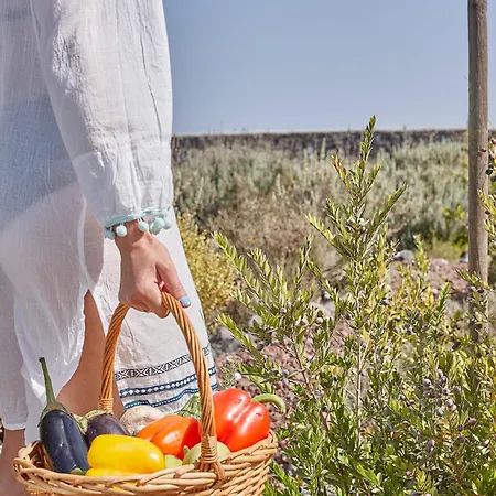 أغريكويا