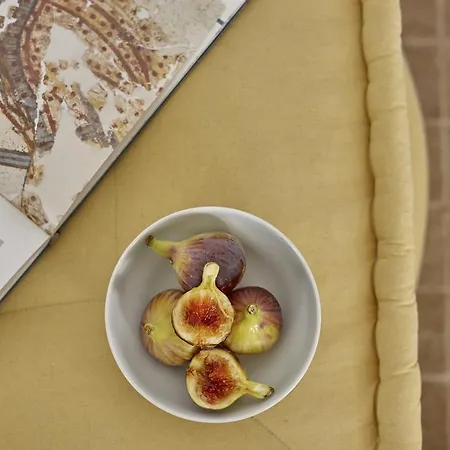 וילה Agrikoia אויה